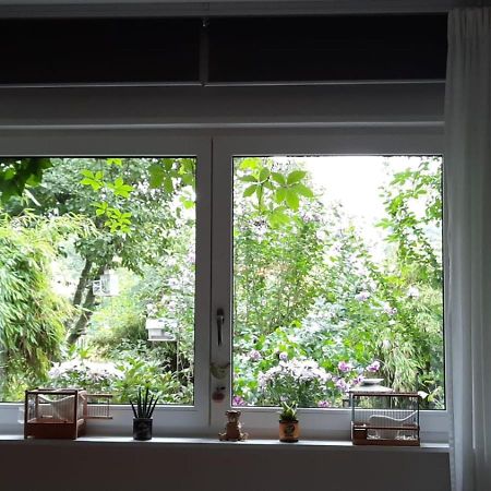 Ferienwohnung Hering In Dill エクステリア 写真