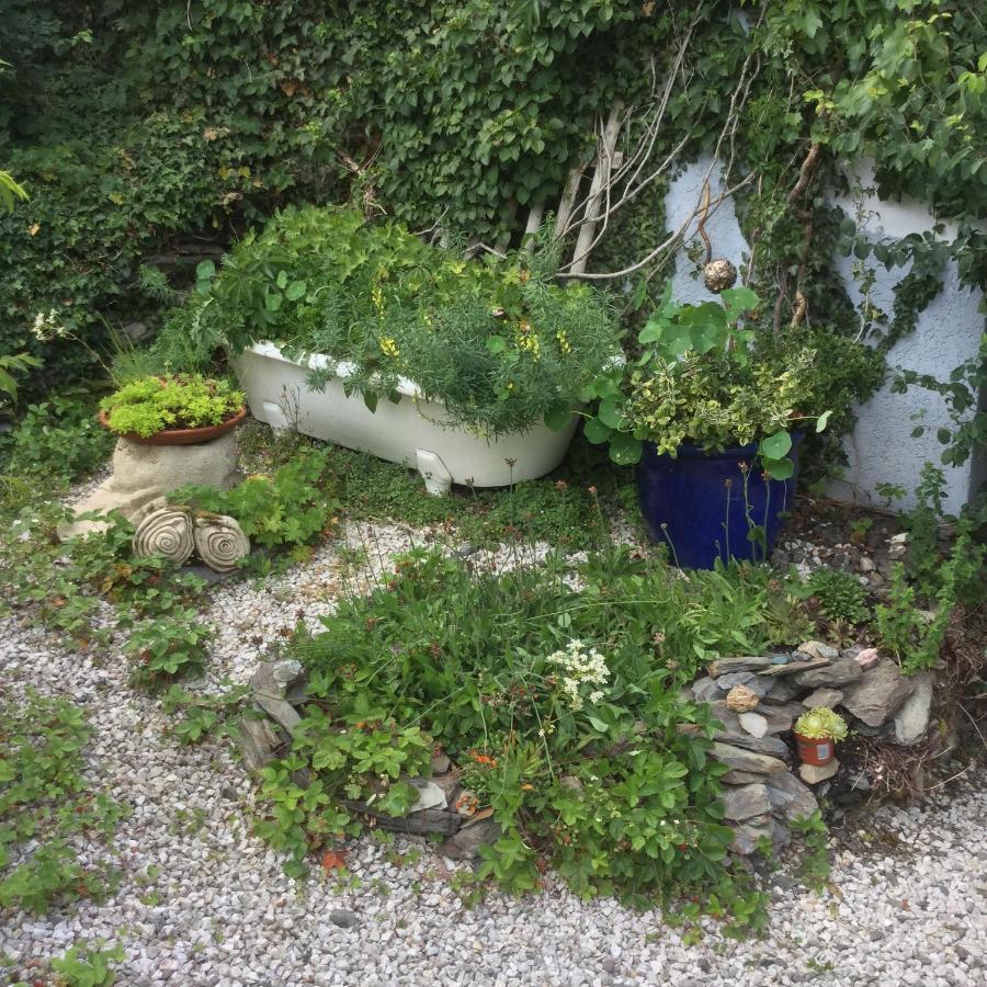 Ferienwohnung Hering In Dill エクステリア 写真