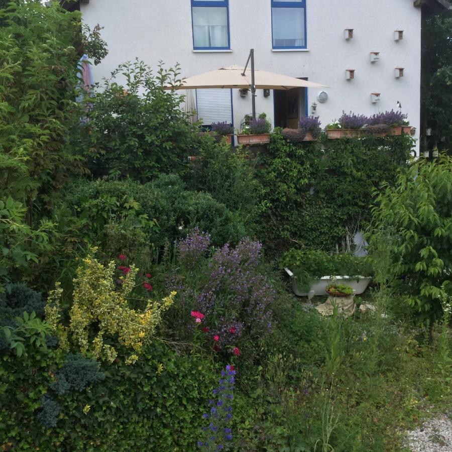 Ferienwohnung Hering In Dill エクステリア 写真