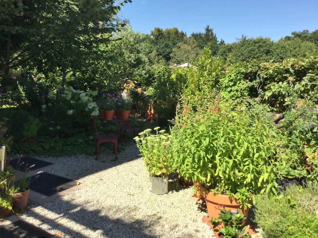 Ferienwohnung Hering In Dill エクステリア 写真