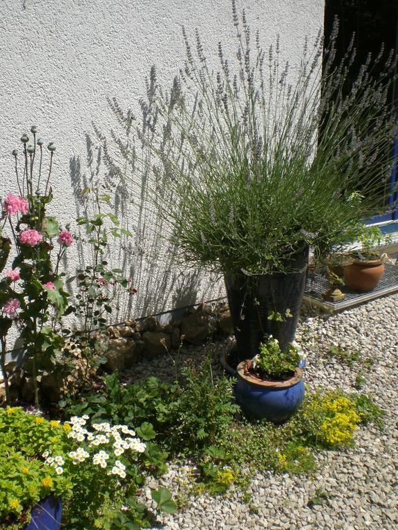 Ferienwohnung Hering In Dill 部屋 写真