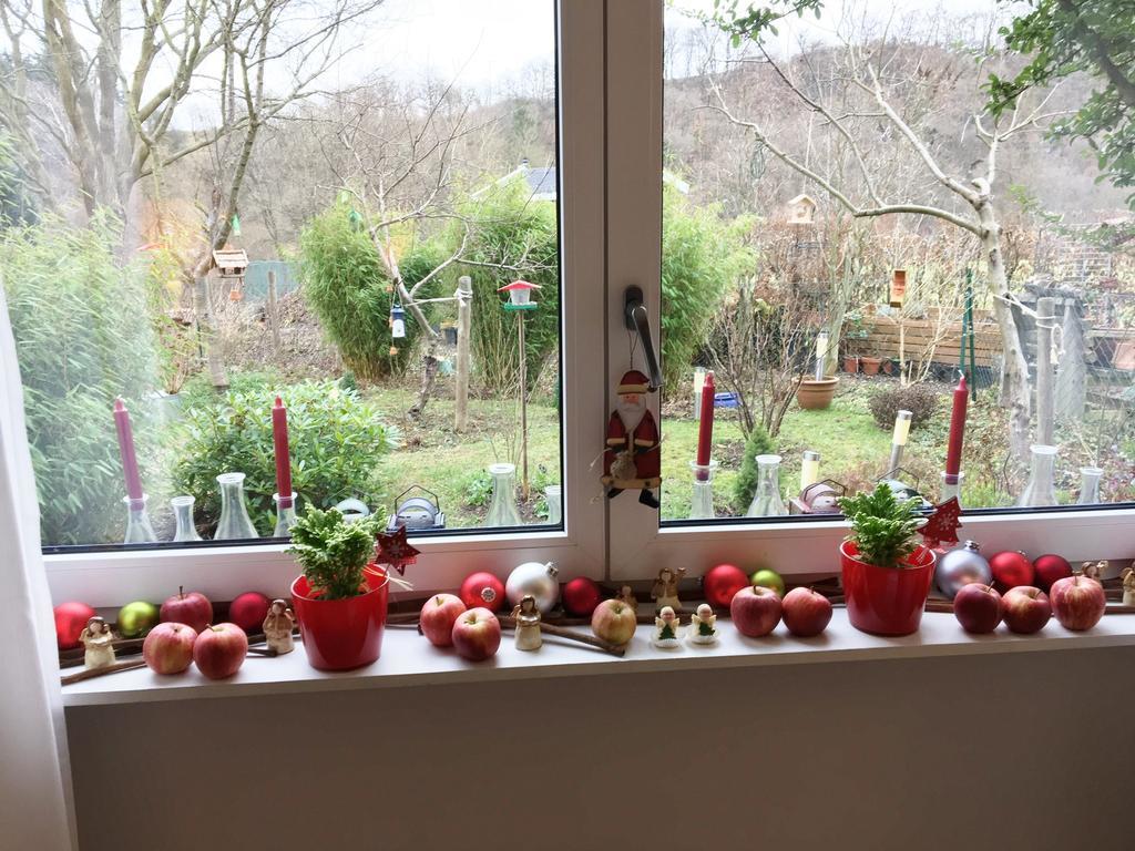 Ferienwohnung Hering In Dill エクステリア 写真
