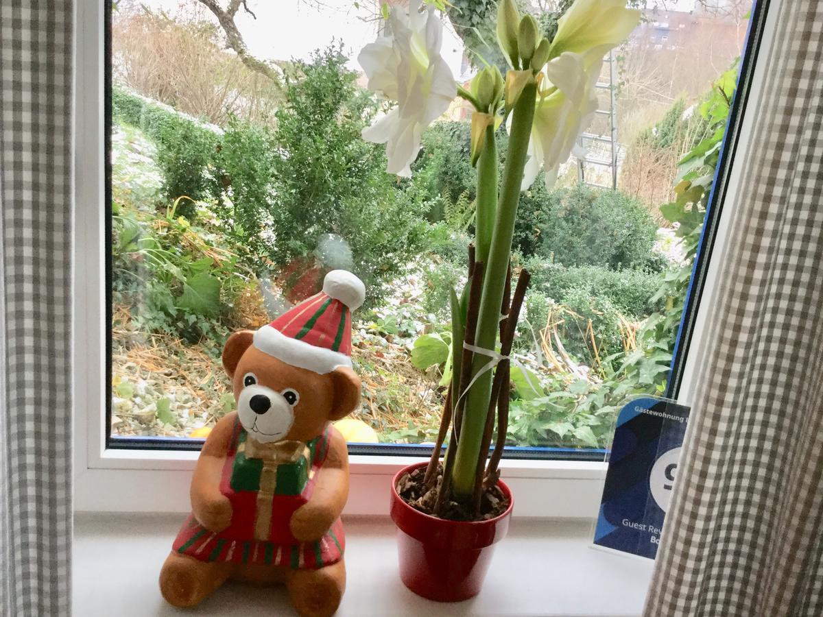 Ferienwohnung Hering In Dill エクステリア 写真